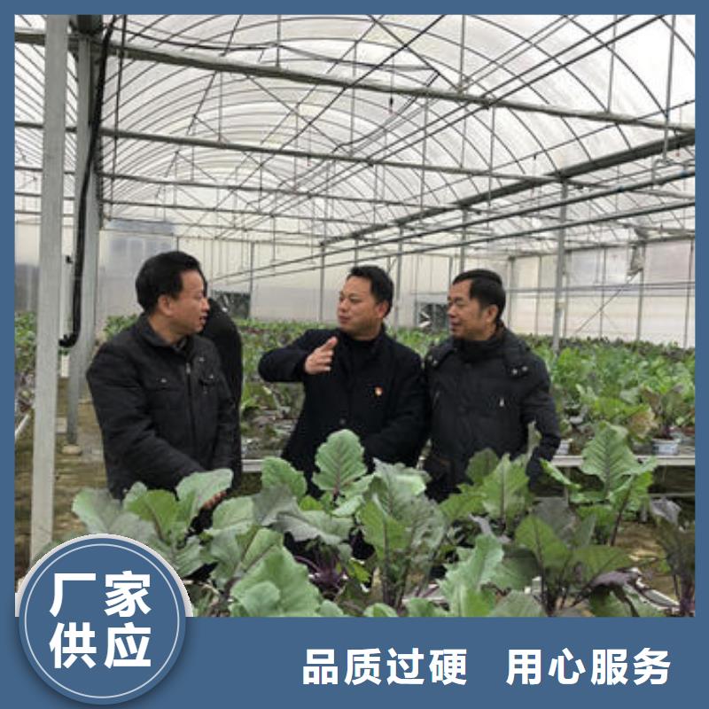 温室工程-回购率高