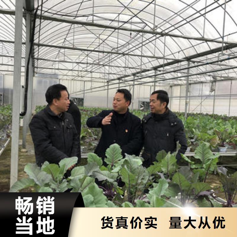旌德县热镀锌西瓜大棚管闪电发货