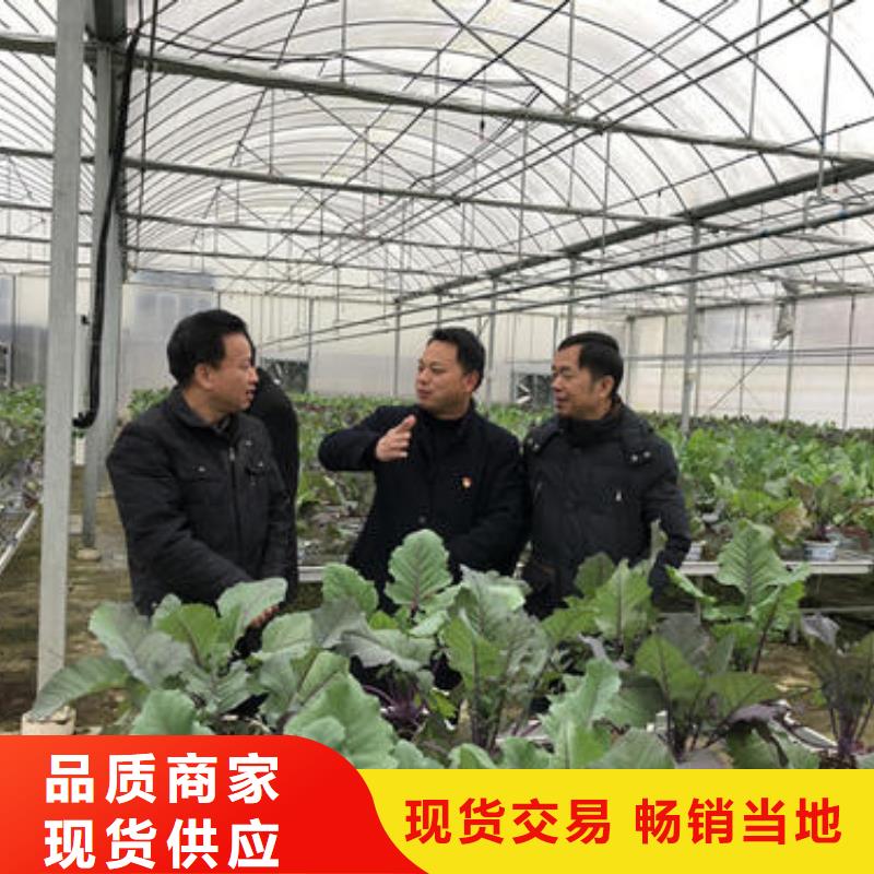 大棚管智能温室大棚工艺精细质保长久