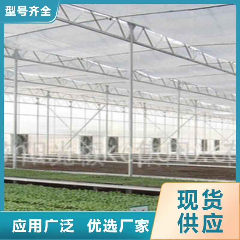 【大棚管-椭圆管温室大棚价格实惠工厂直供】