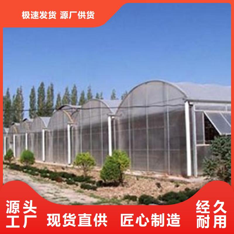 暖棚源头厂家报价