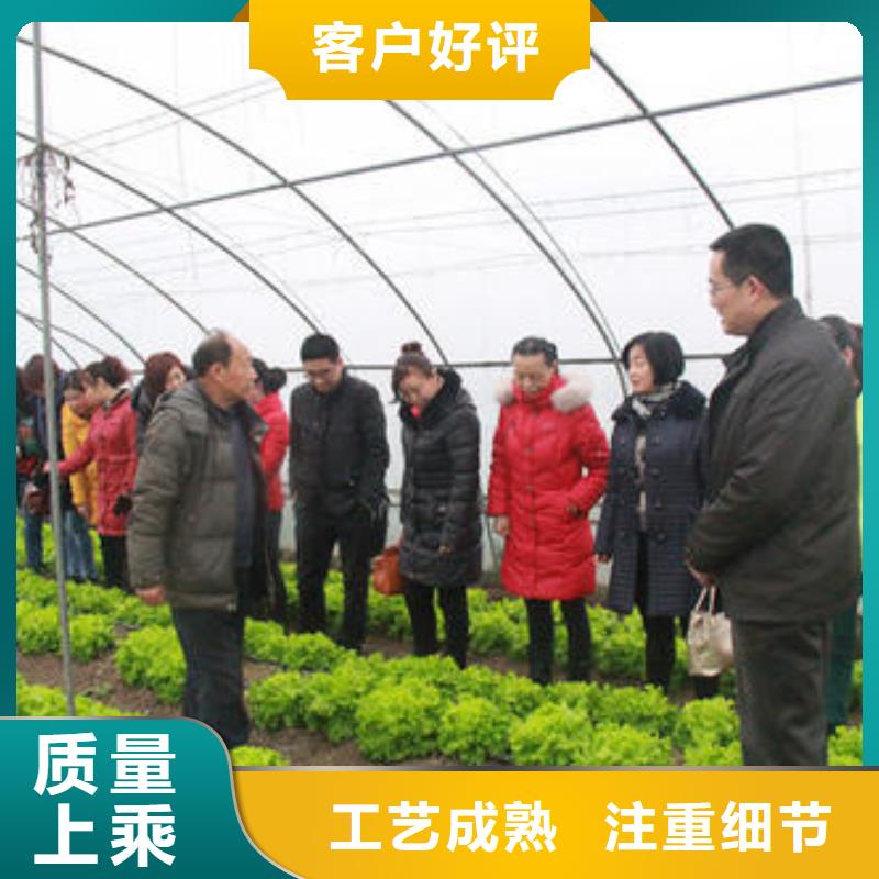 云城区花艺带外遮阳大棚欢迎到厂洽谈