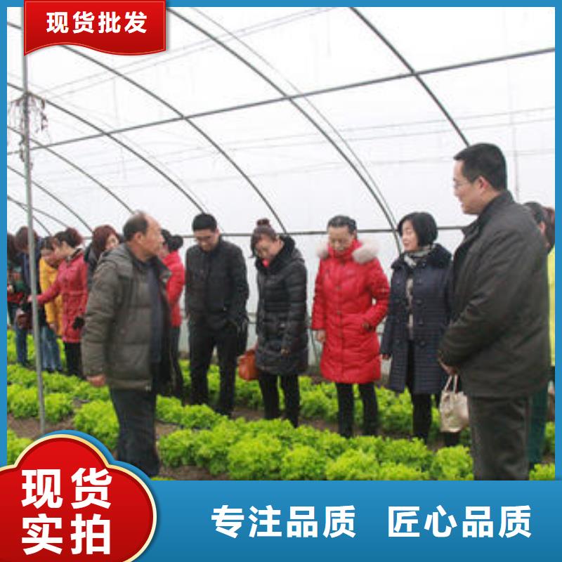 大棚管智能温室大棚工艺精细质保长久