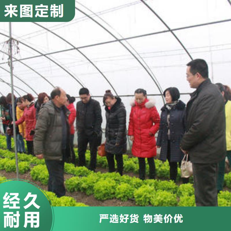 修武蔬菜大棚管价格优惠2025已更新