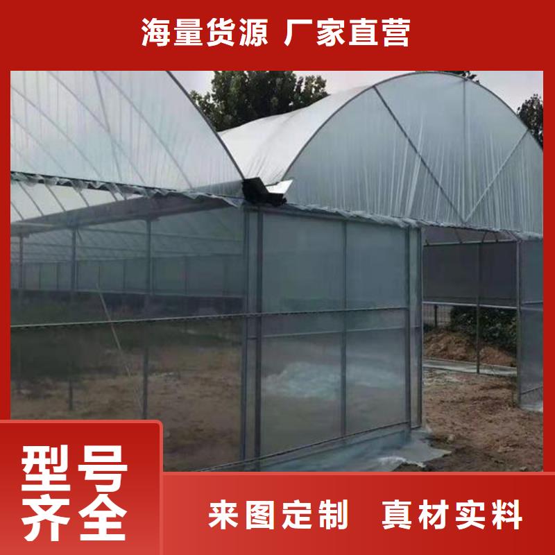 现货供应大棚搭建_精选厂家