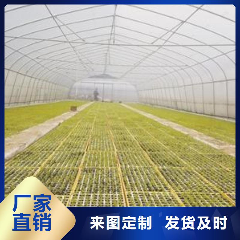 大棚管厂家定制价格