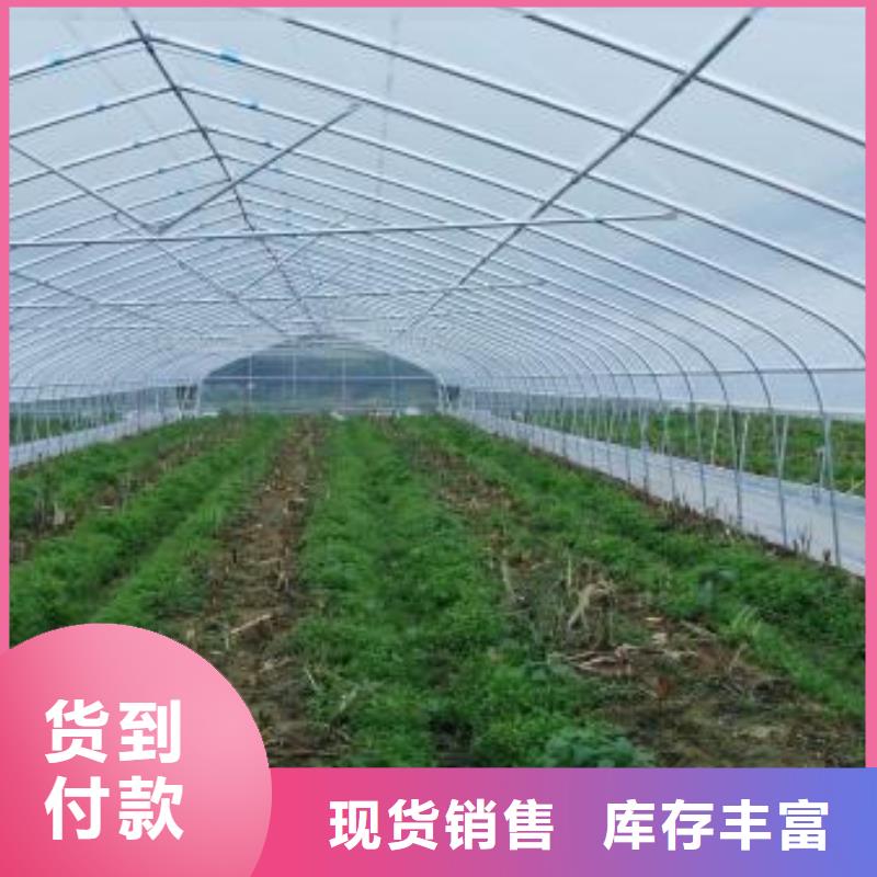 泰来大棚钢管常用指南2025已更新