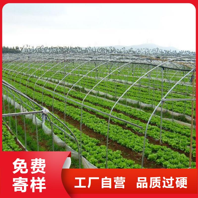 芗城大棚骨架管批发