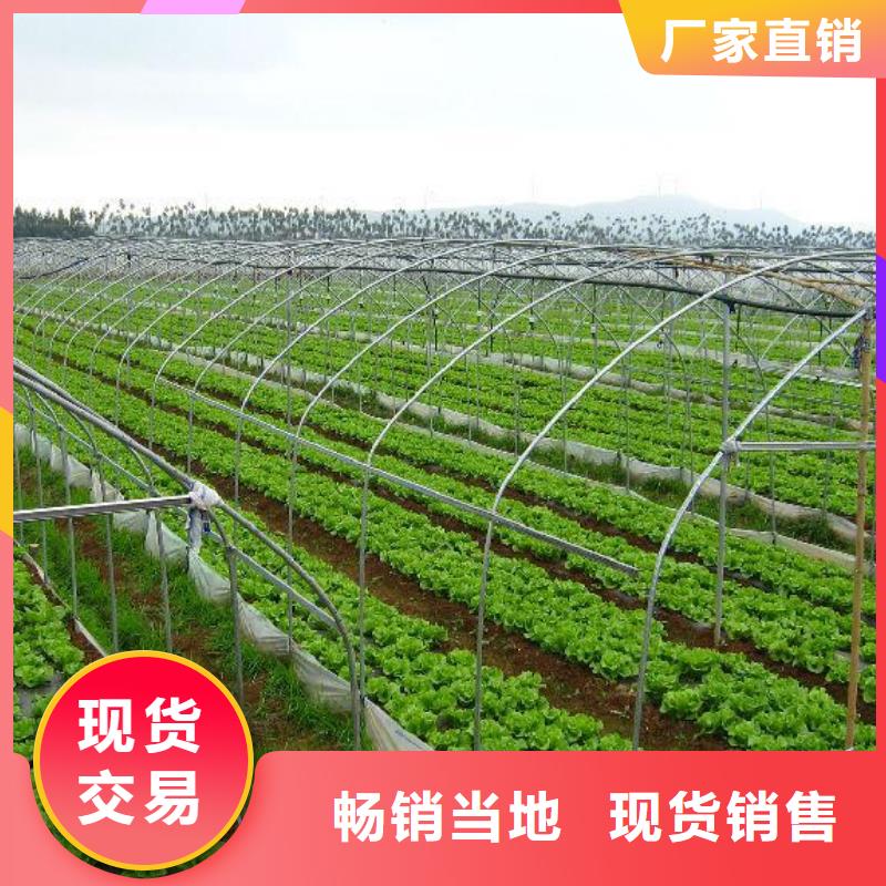安仁大棚管介绍发货及时