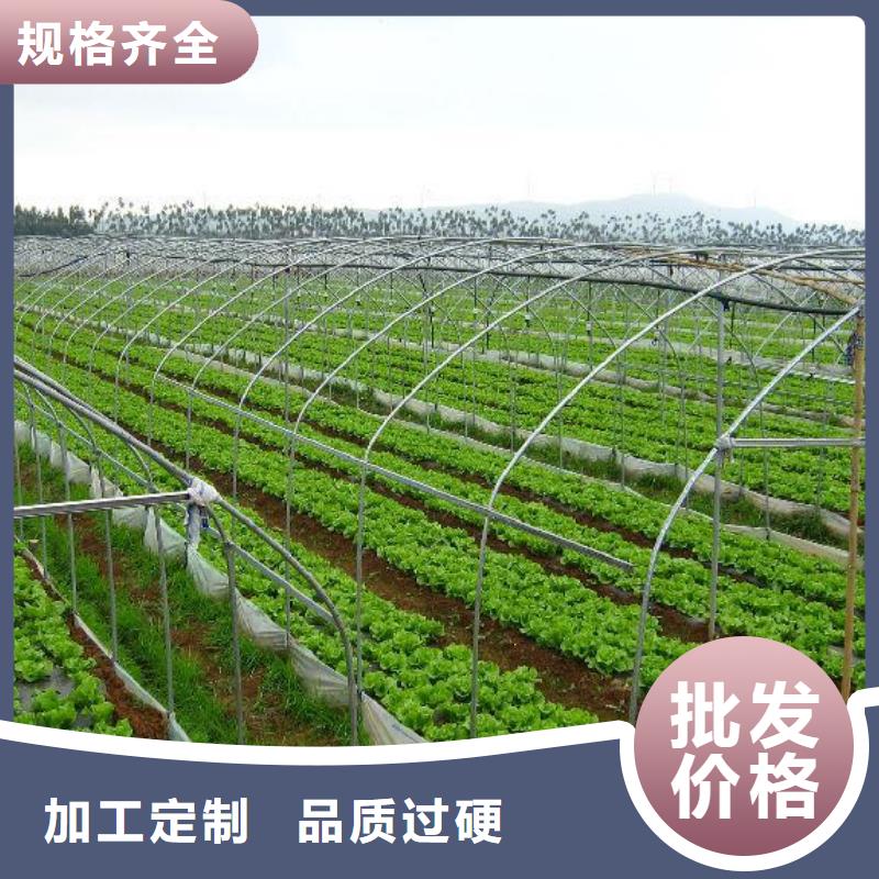 #包塑大棚管#货比三家