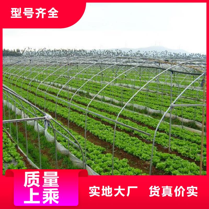 温室大棚管-发货迅速