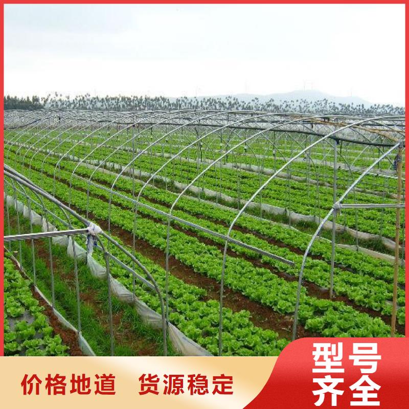 优质的天津大棚管生产厂家