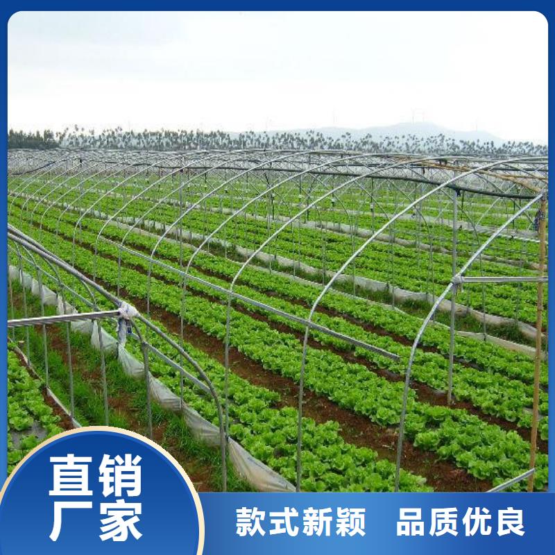 庄浪大棚管质量可靠2025已更新