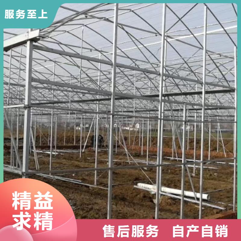 常年供应温室大棚管-品牌
