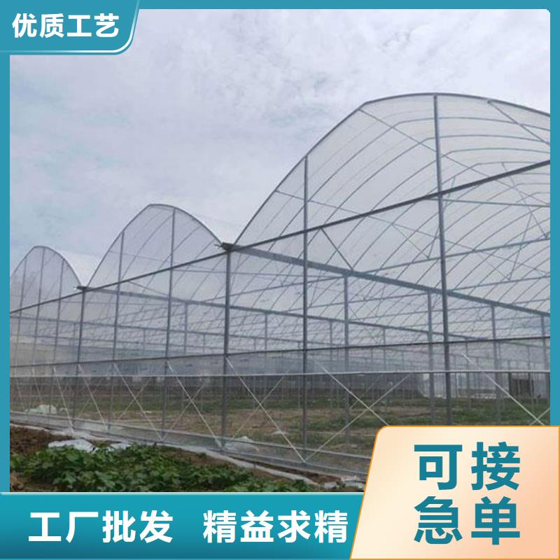 靠谱的大棚管理厂家
