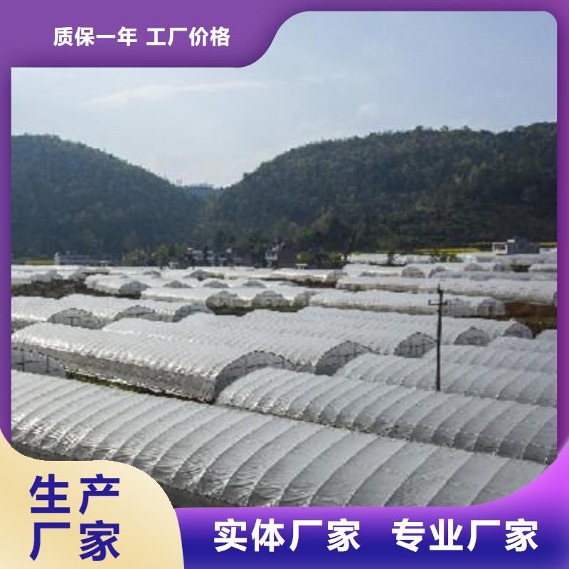 大棚管图片厂家/欢迎致电