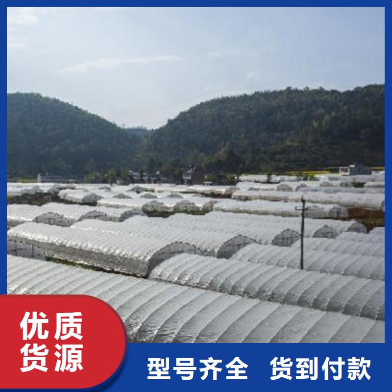 连栋塑料薄膜大棚骨架管免费查询、