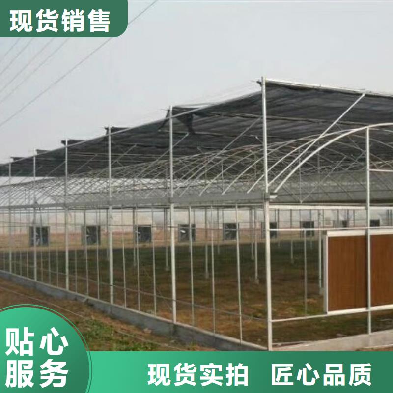 本地联栋大棚厂商