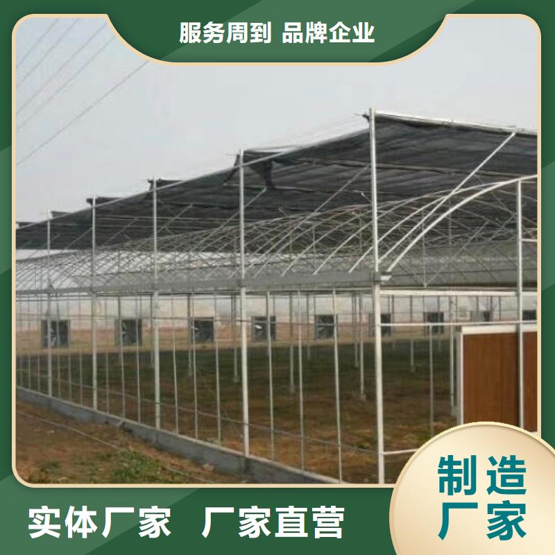 涡阳镀锌大棚钢管全国走货2025已更新