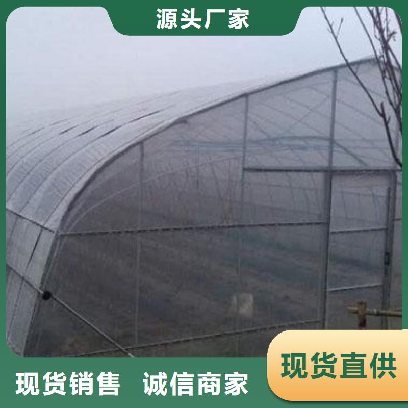 大棚管-玻璃温室大棚支持定制贴心售后