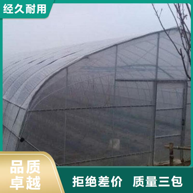 大棚搭建优质供货厂家