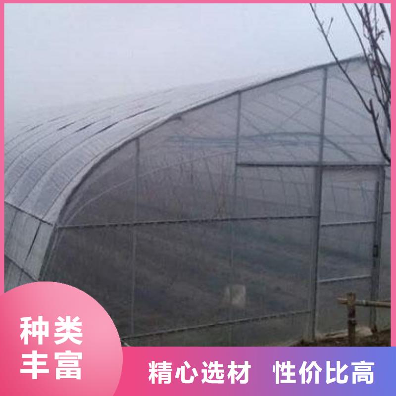 大棚管温室大棚管现货直供