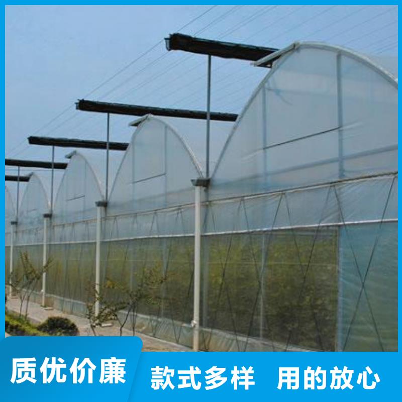 岱山大棚管支持定制2025已更新