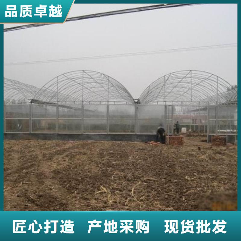 华池蔬菜大棚管为您服务2025已更新