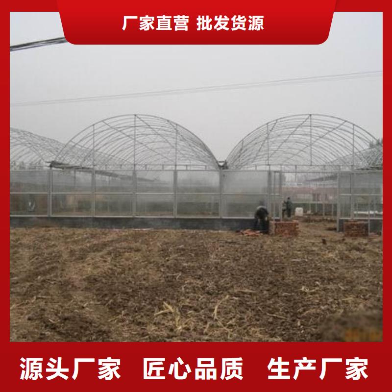 蔬菜大棚管批发价格2025已更新