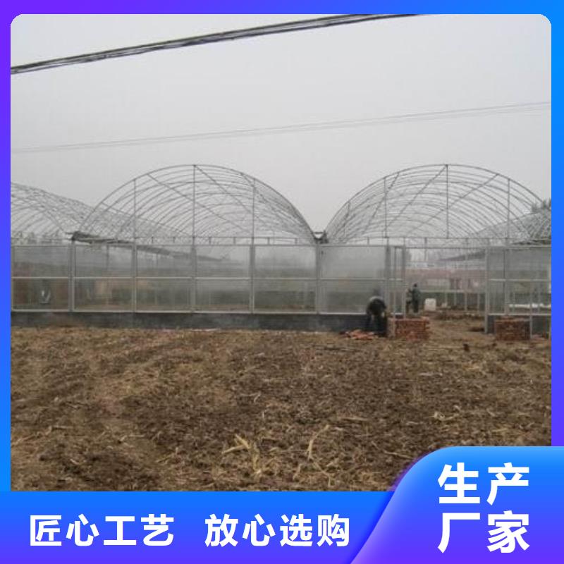 大棚管温室大棚管多种规格库存充足
