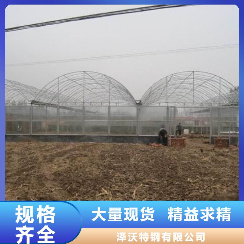 现货供应大棚搭建_精选厂家