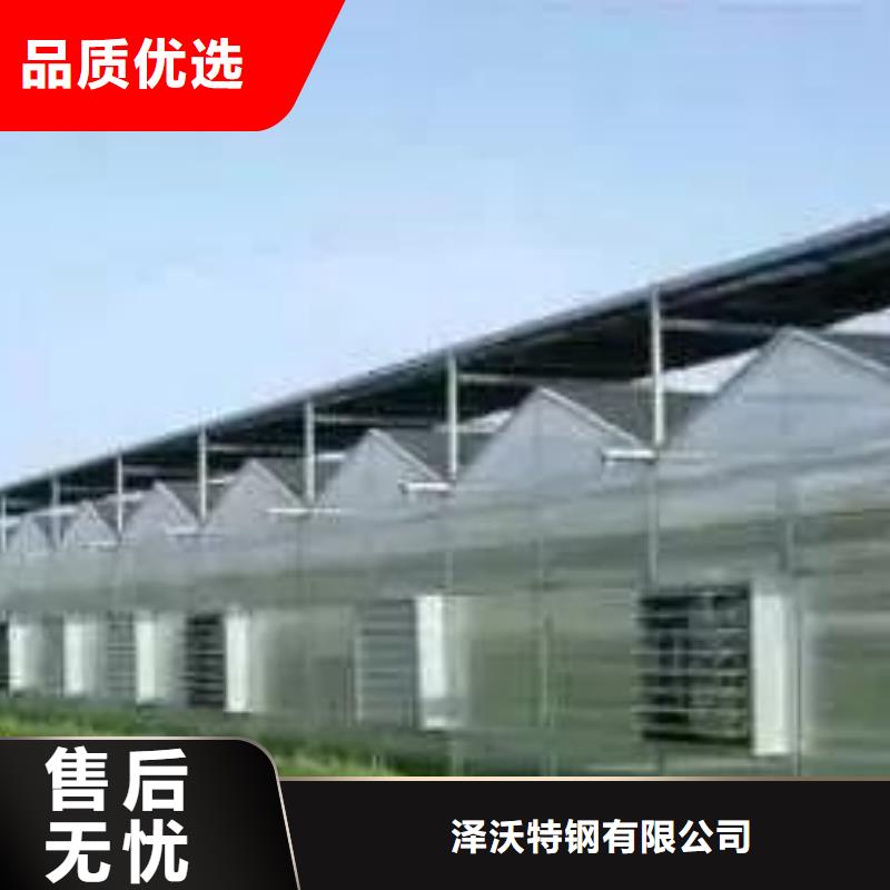 本地联栋大棚厂商