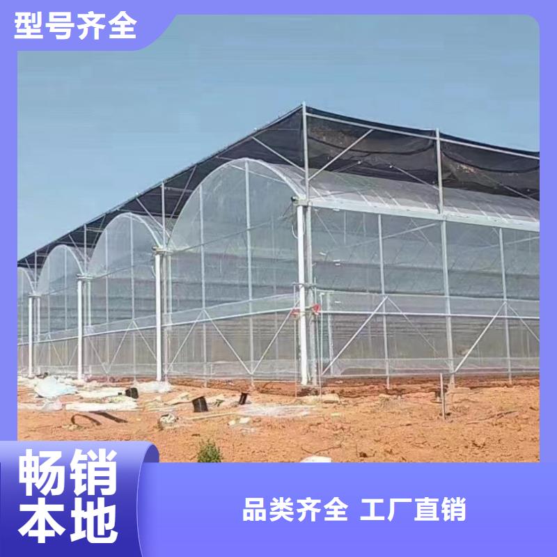 6分大棚管价格-厂家
