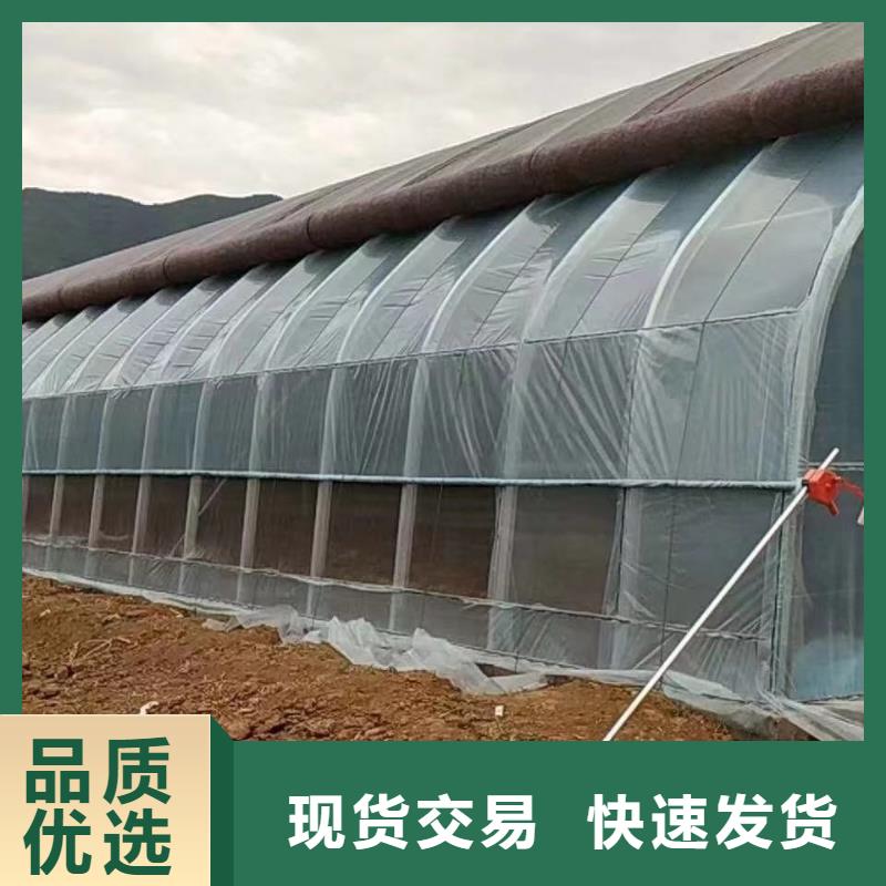 暖棚源头厂家报价