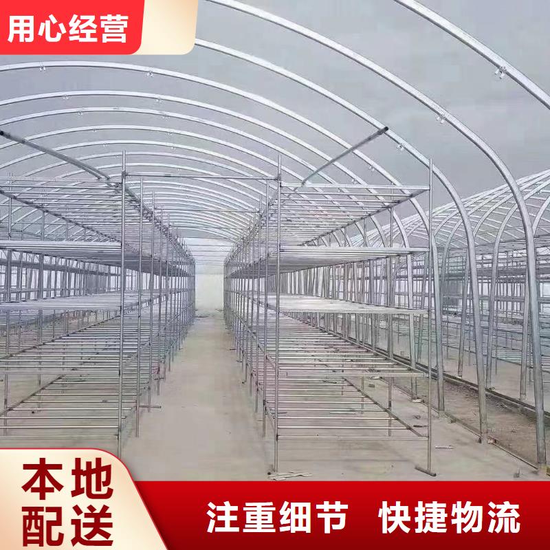 现货供应大棚搭建_精选厂家