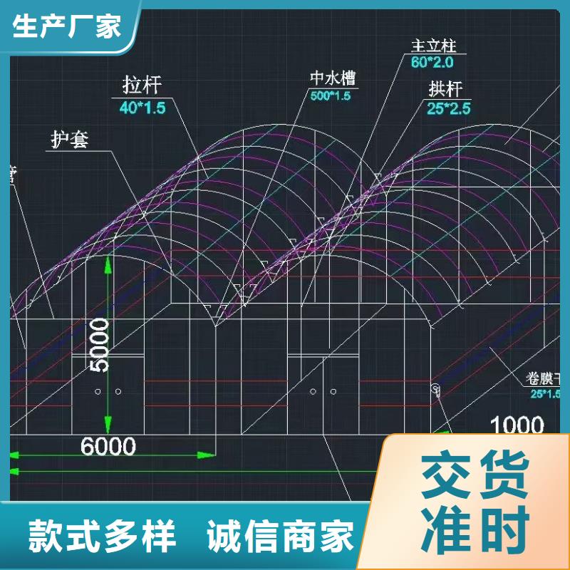 大棚搭建优质供货厂家