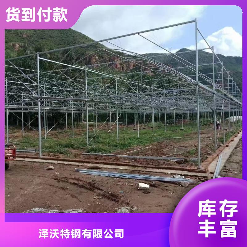 大棚管日光温室大棚种类齐全