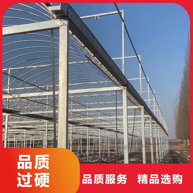 蔬菜种植大棚价格实在的厂家