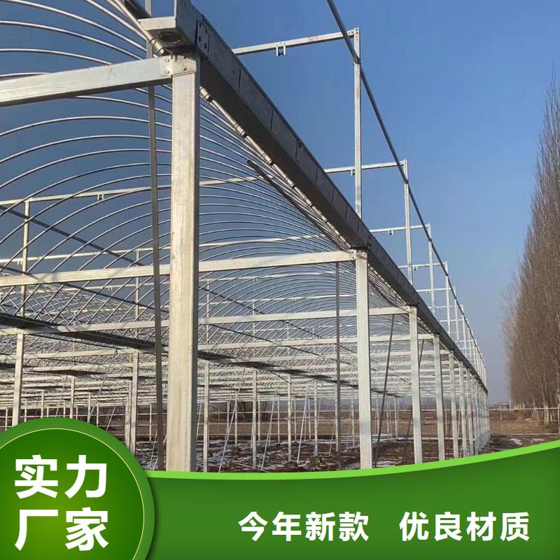 暖棚源头厂家报价