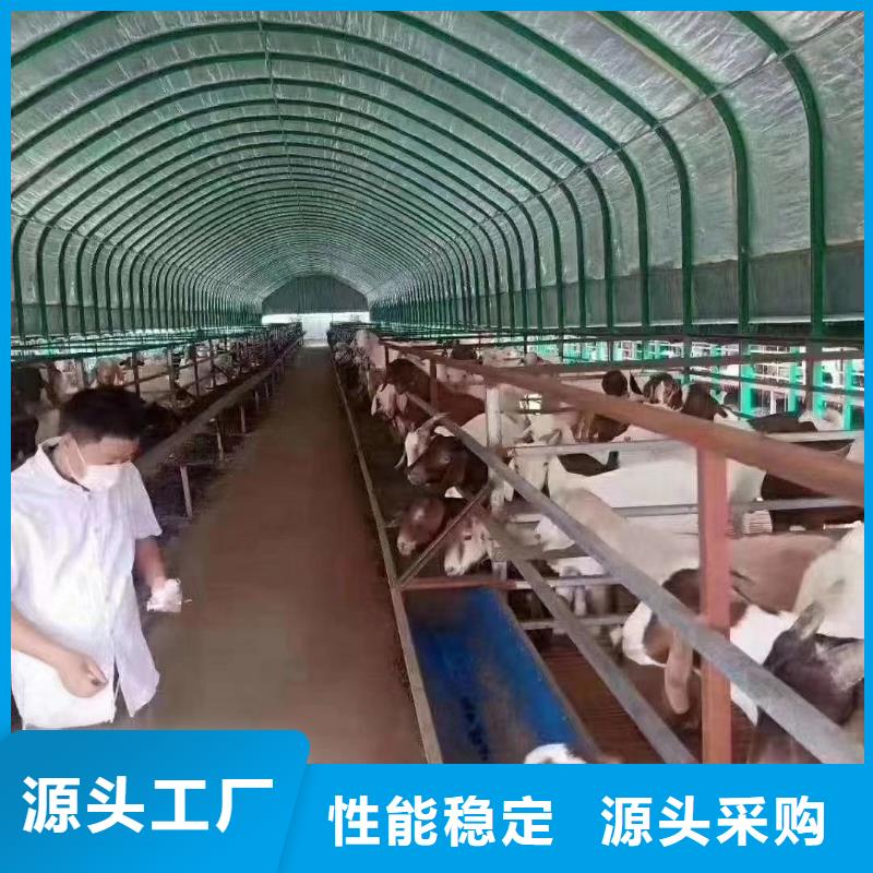 性价比高的温室工程