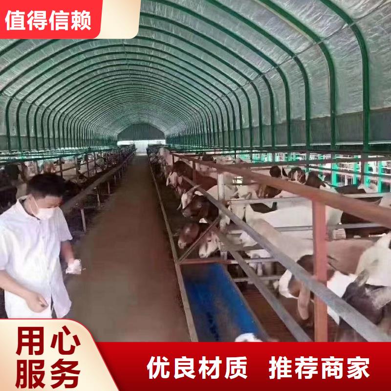 买大棚管多少钱一根认准泽沃特钢有限公司