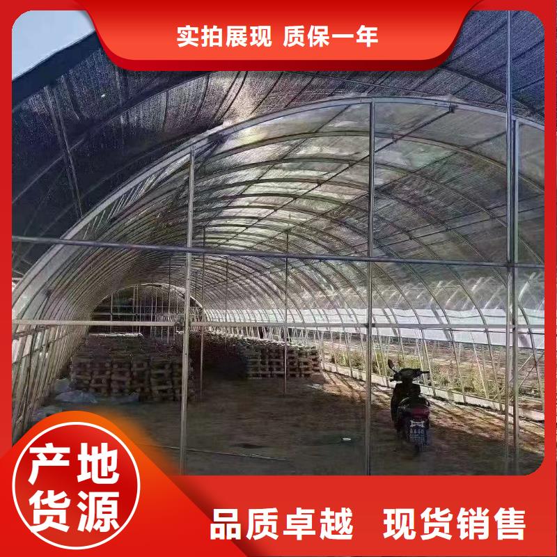 大棚管图片厂家/欢迎致电