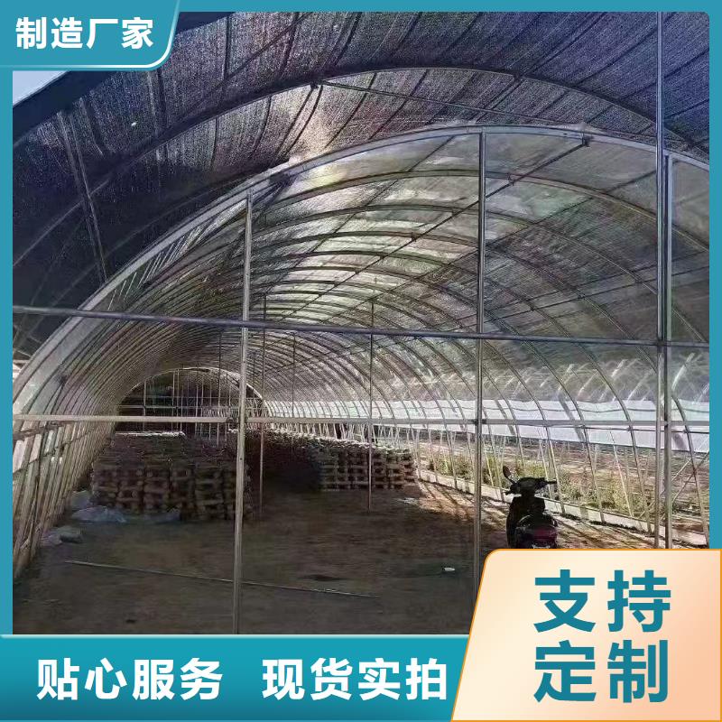 购买大棚管厂家认准泽沃特钢有限公司