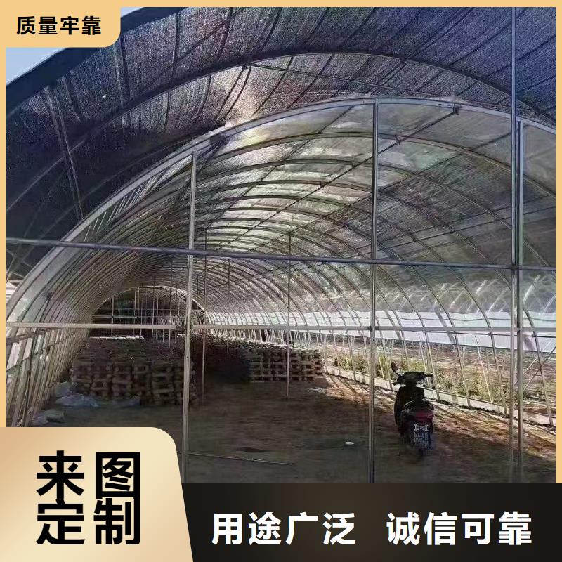 印台大棚管价格公司