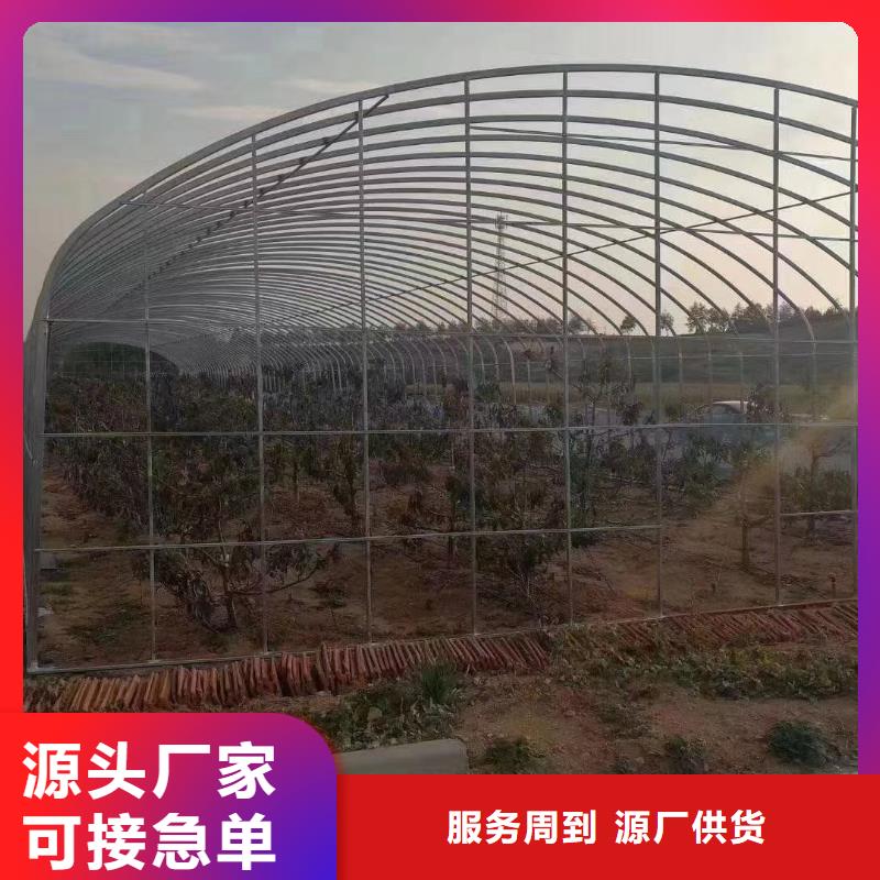 蒸湘区薄壁镀锌管品质爆款