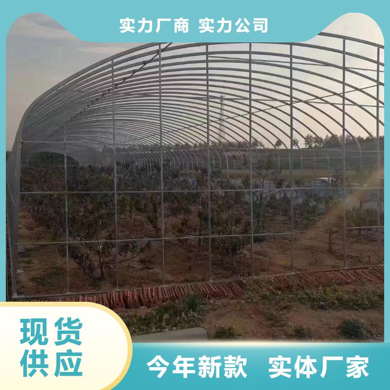 民权县大棚钢管厂品质爆款