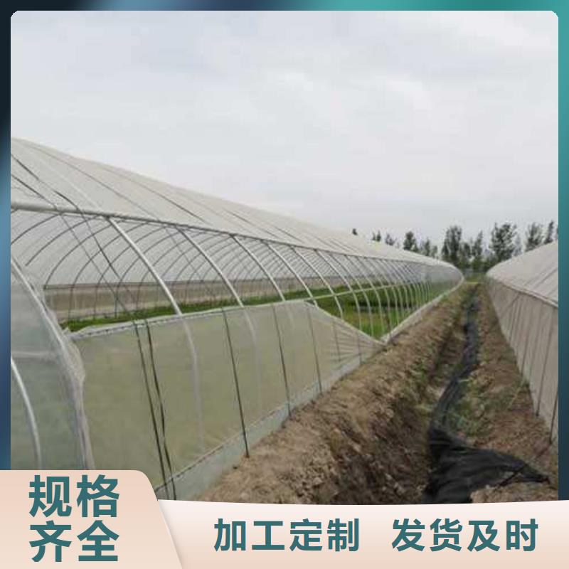 性价比高的大棚管厂家基地