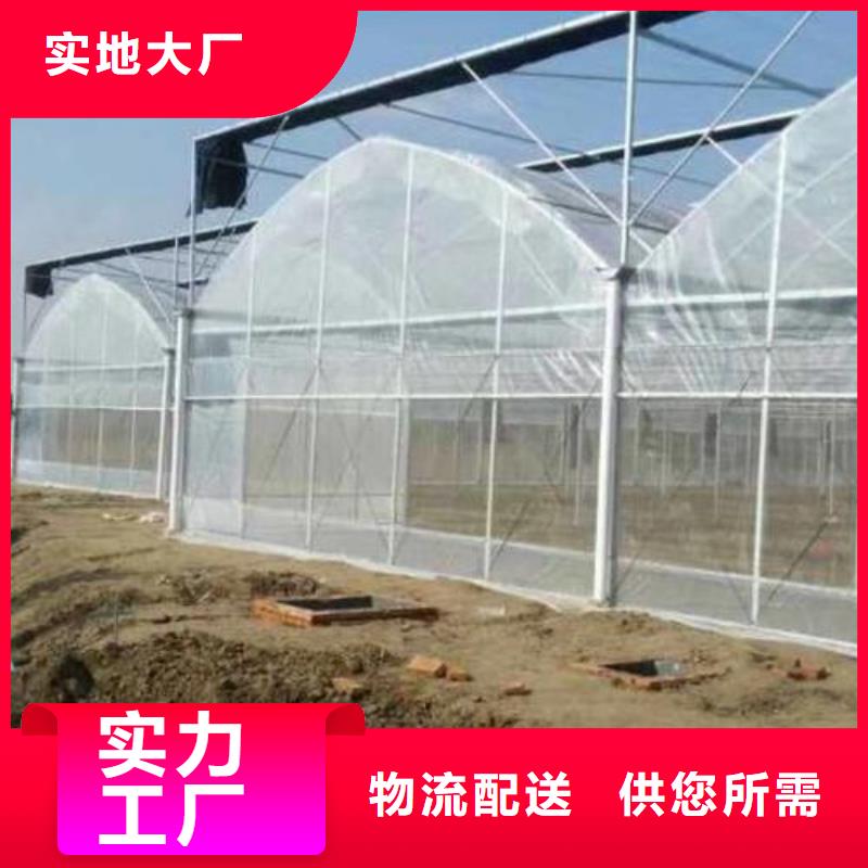 镀锌连栋温室大棚管值得信赖