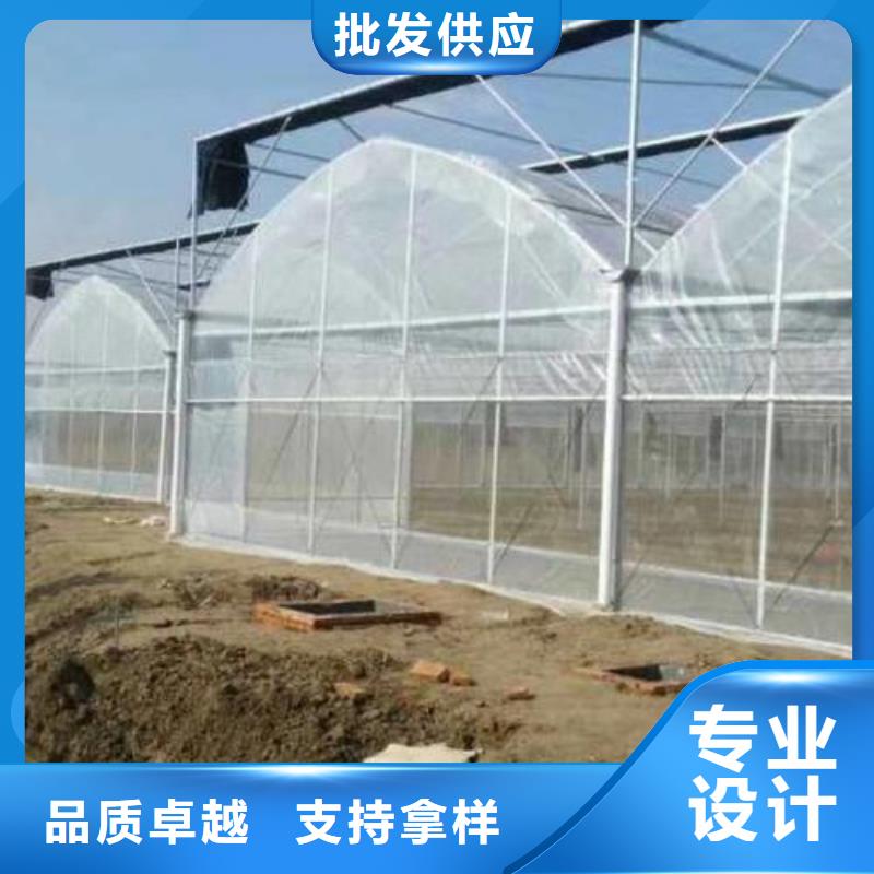 现货供应大棚搭建_精选厂家