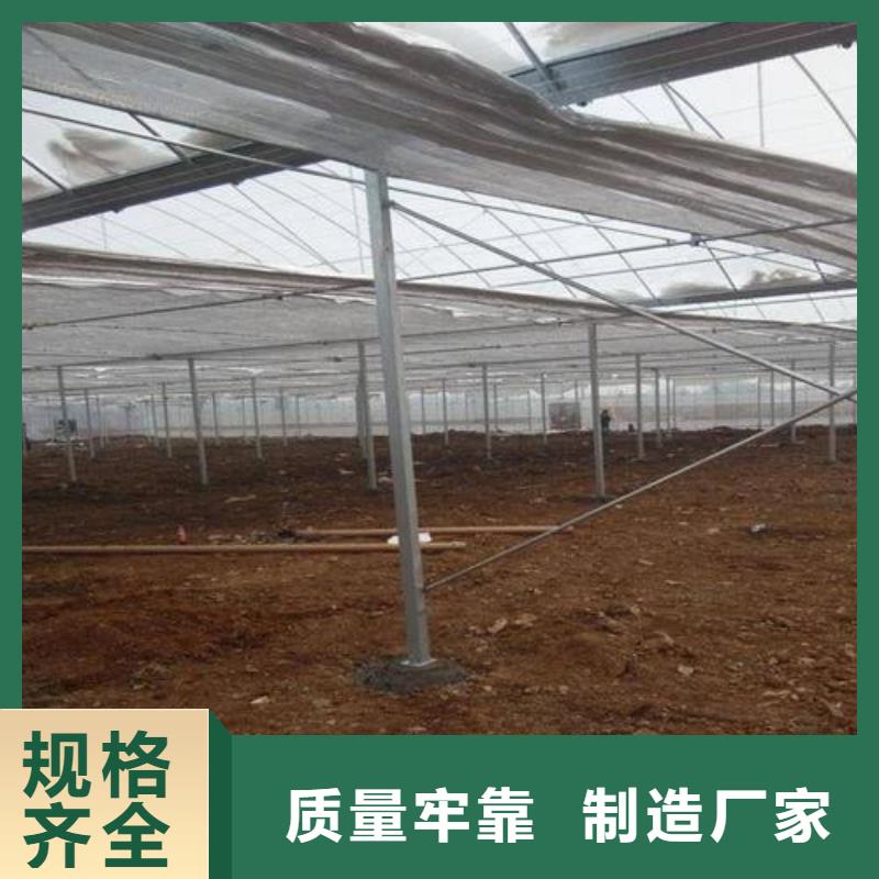 供应现场实拍大棚_优质厂家